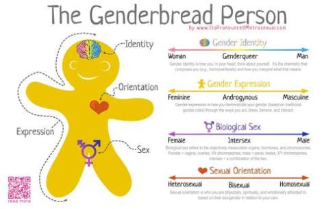 1600-Genderbread-Person