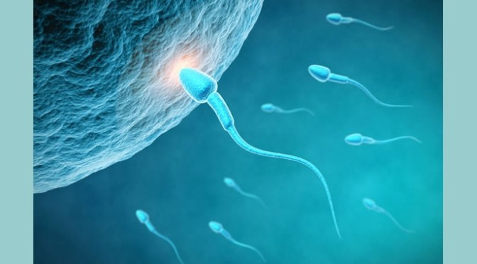 Noi donne, senza un uomo, non saremmo mai esistite.