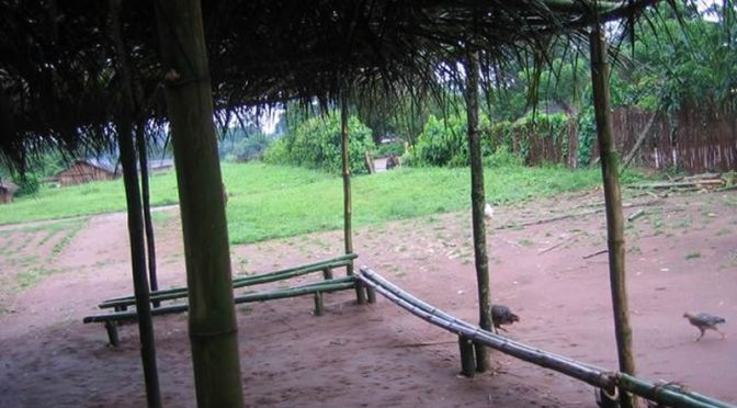 “Mi chiamo La Grace!” e l’articolo non si tocca.