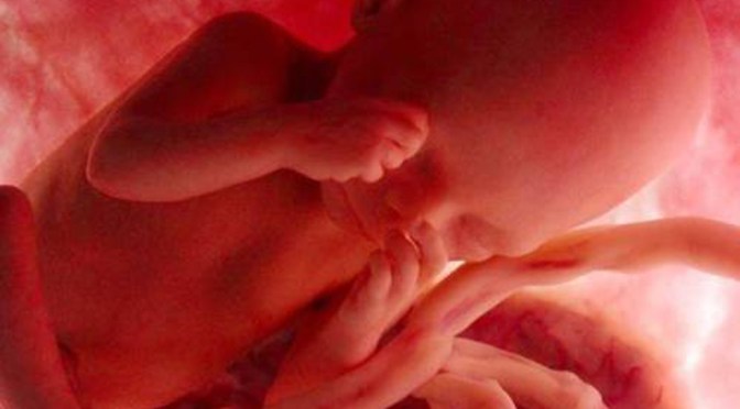 La storia di Alessandro e Claudia – Parti 1 e 2.